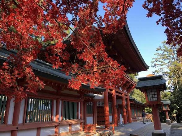 ศาลเจ้าฮิคาวะ (Hikawa Shrine) เที่ยวญี่ปุ่น