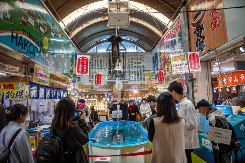 ตลาดเช้าฮาโกดาเตะ (Hakodate Morning Market) เที่ยวฮาโกดาเตะ เที่ยวฮอกไกโด ทัวร์ฮาโกดาเตะ ทัวร์ฮอกไกโด