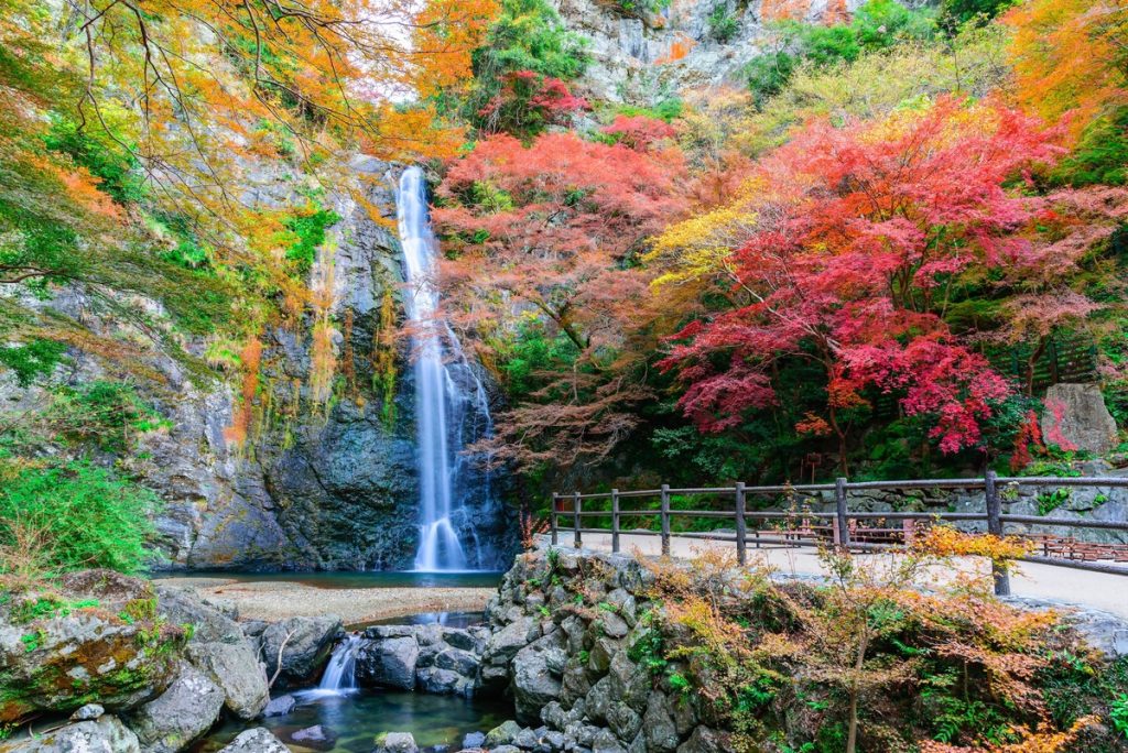 น้ำตกมิโนะ (Minoo Waterfall) เที่ยวโอซาก้า เที่ยวญี่ปุ่น ทัวร์โอซาก้า ทัวร์ญี่ปุ่น