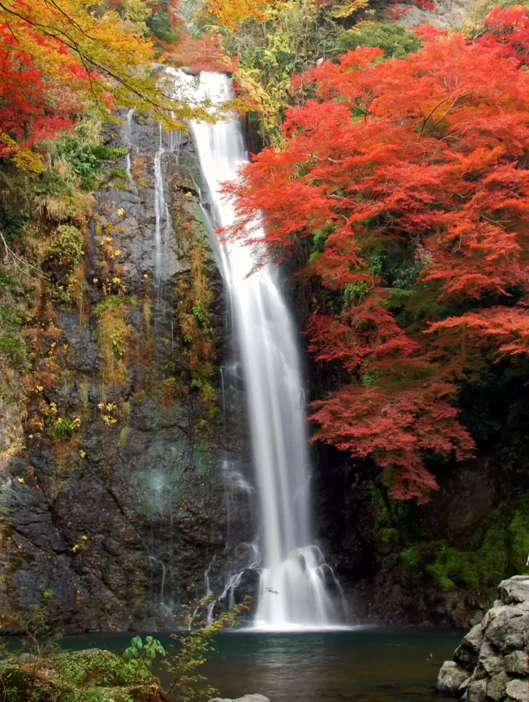 น้ำตกมิโนะ (Minoo Waterfall) เที่ยวโอซาก้า เที่ยวญี่ปุ่น ทัวร์โอซาก้า ทัวร์ญี่ปุ่น