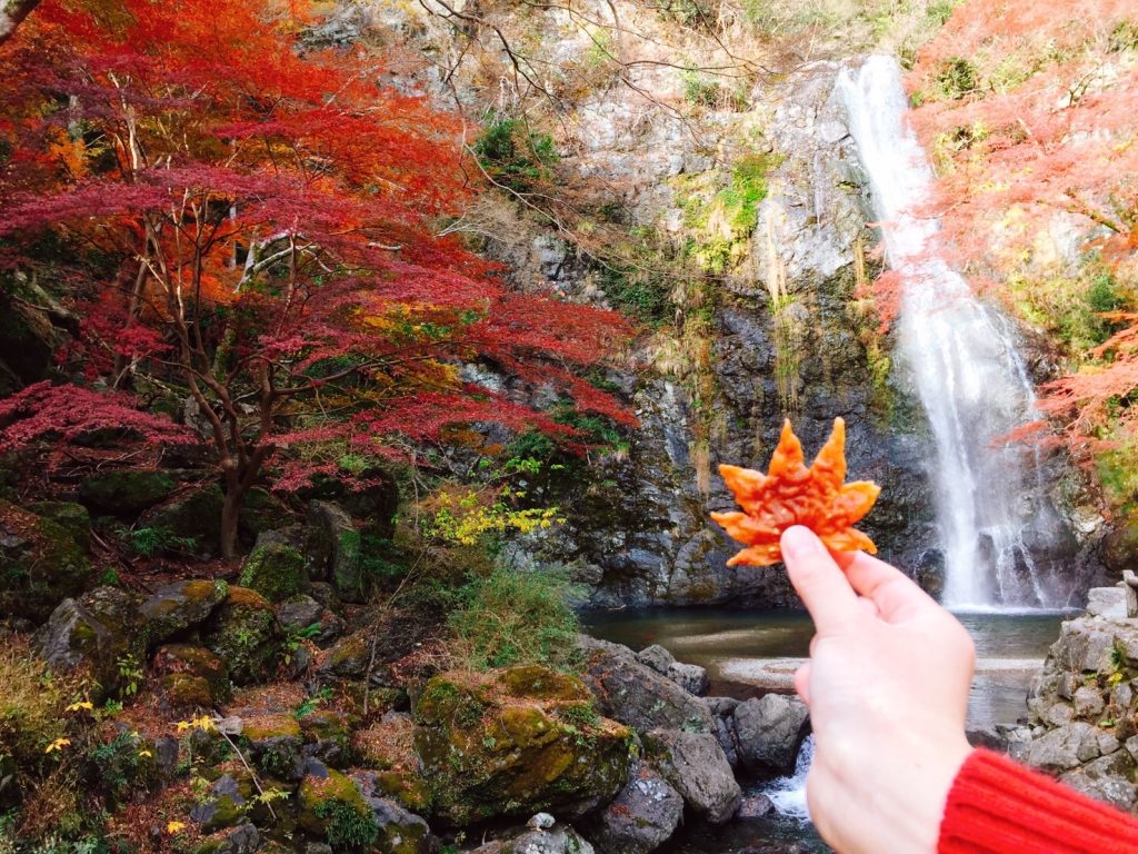 น้ำตกมิโนะ (Minoo Waterfall) เที่ยวโอซาก้า เที่ยวญี่ปุ่น ทัวร์โอซาก้า ทัวร์ญี่ปุ่น
