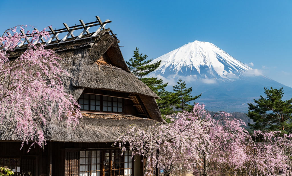 พิพิธภัณฑ์หมู่บ้านอิยาชิโนซาโตะ (Iyashi no Sato) เที่ยวยามานาชิ เที่ยวญี่ปุ่น ทัวร์ยามานาชิ ทัวร์ญี่ปุ่น