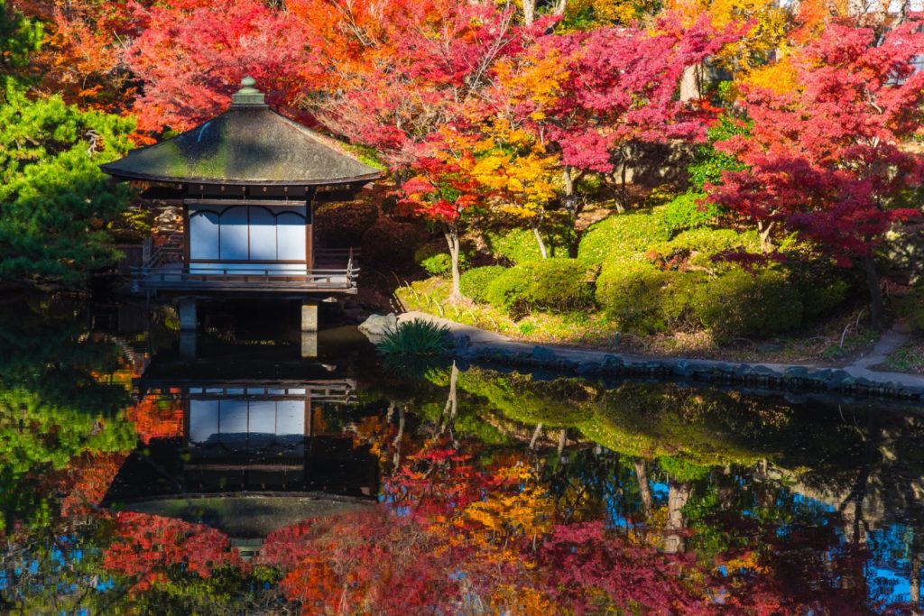 ปราสาทวากายามะ (Wakayama Castle) เที่ยวญี่ปุ่น ทัวร์ญี่ปุ่น