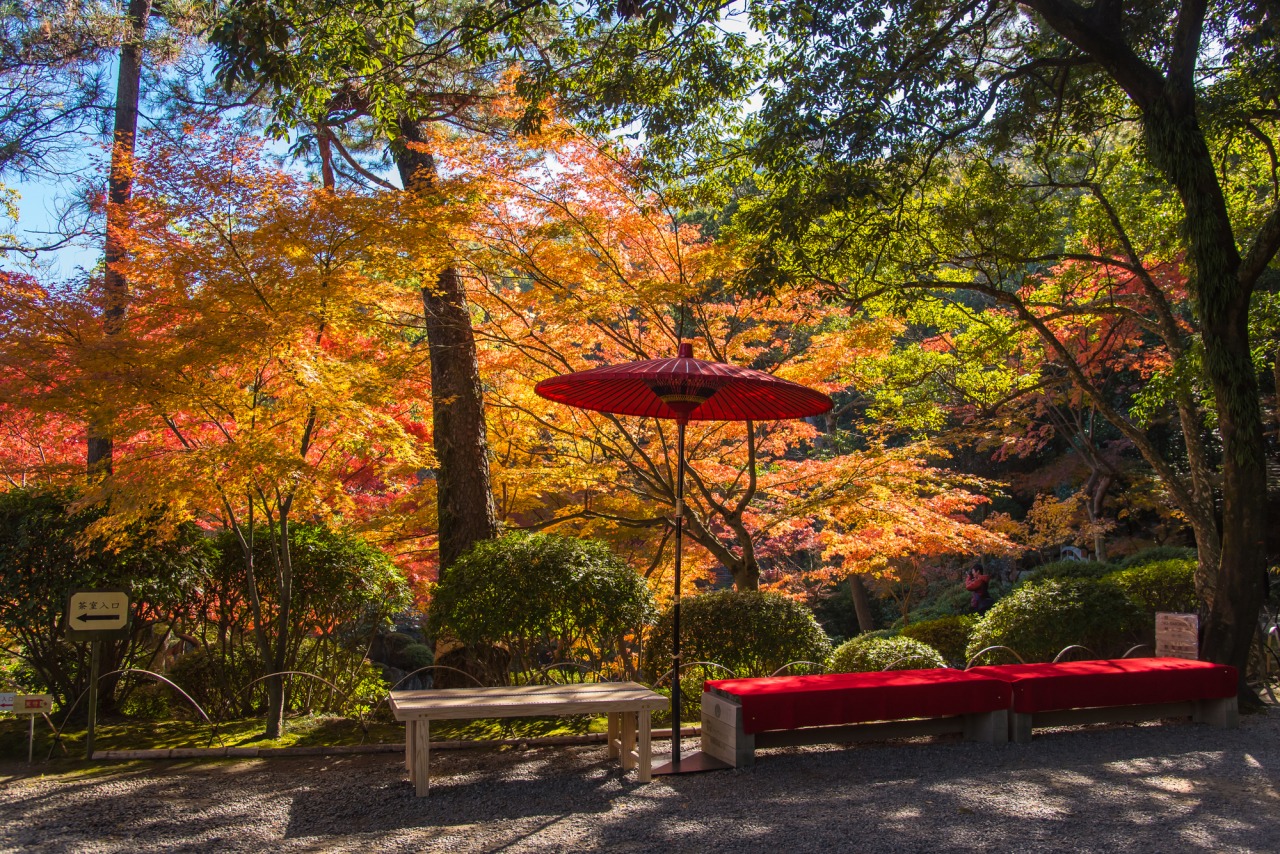 ปราสาทวากายามะ (Wakayama Castle) เที่ยวญี่ปุ่น ทัวร์ญี่ปุ่น