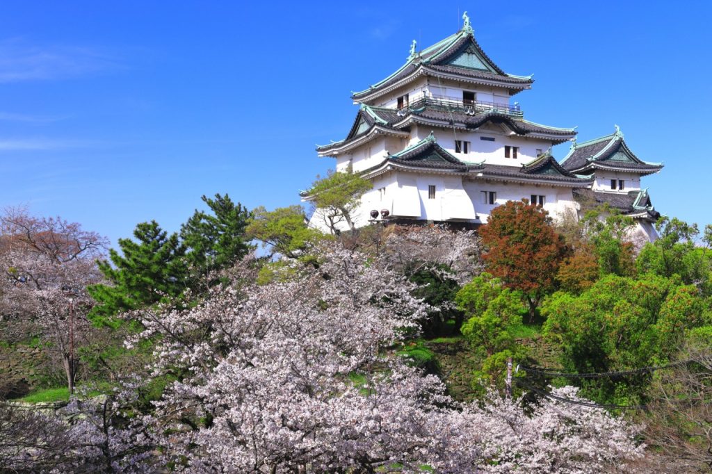 ปราสาทวากายามะ (Wakayama Castle) เที่ยวญี่ปุ่น ทัวร์ญี่ปุ่น
