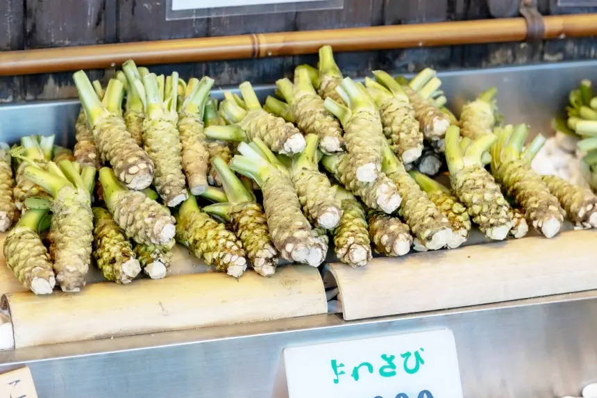 ไร่วาซาบิไดโอะ Daio Wasabi Farm เที่ยวนากาโน่ เที่ยวญี่ปุ่น ทัวร์นากาโน่ ทัวร์ญี่ปุ่น