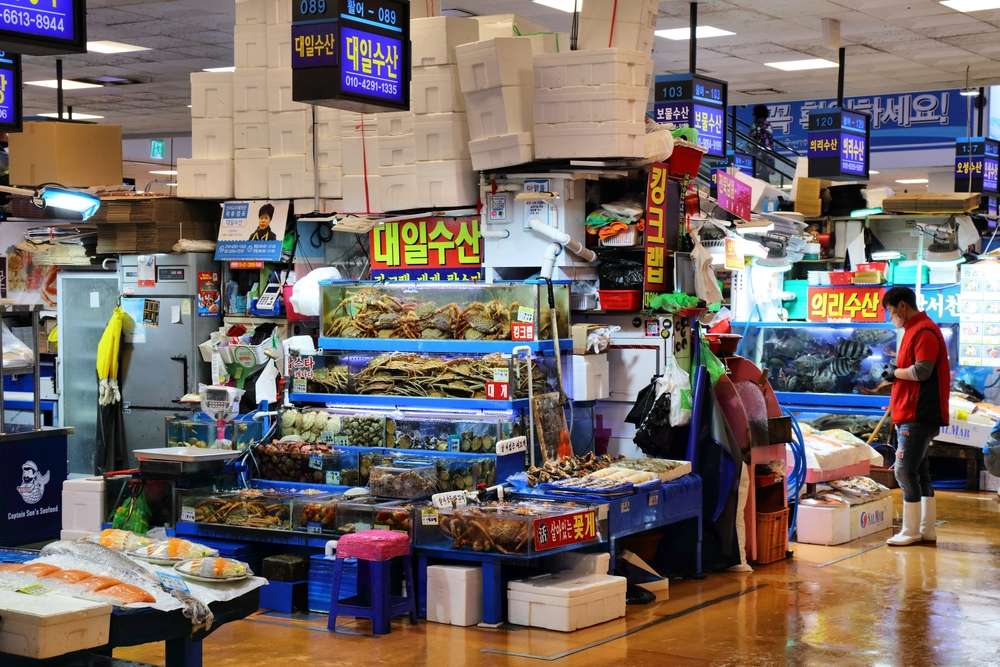 ตลาดปลานอร์ยางจิน Noryangjin Fish Market เที่ยวเกาหลี ทัวร์เกาหลี