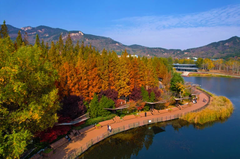 จุดชมใบไม้เปลี่ยนสีเมืองชิงเต่า เที่ยวชิงเต่า เที่ยวจีน ทัวร์ชิงเต่า ทัวร์จีน