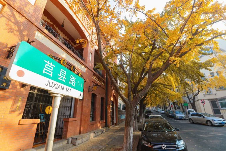 จุดชมใบไม้เปลี่ยนสีเมืองชิงเต่า เที่ยวชิงเต่า เที่ยวจีน ทัวร์ชิงเต่า ทัวร์จีน