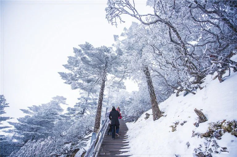 ภูเขาหิมะเจียวจื่อ ( Jiaozi Snow Mountain หรือ 轿子雪山 ) เที่ยวคุนหมิง เที่ยวจีน